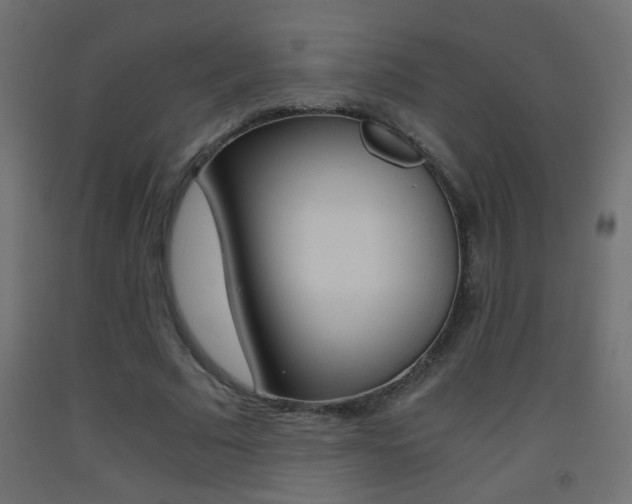 X0000093440681200710120946
