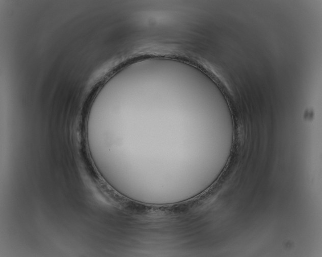 X0000093440682200710120946