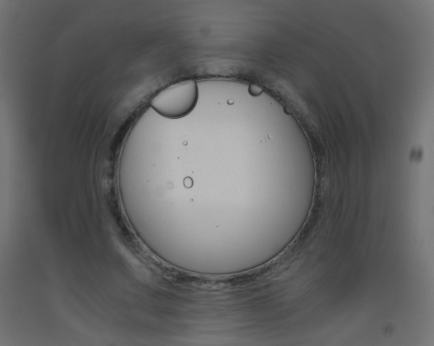 X0000093440683200710120946