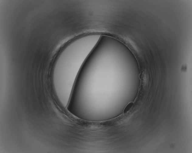 X0000093440684200710120946