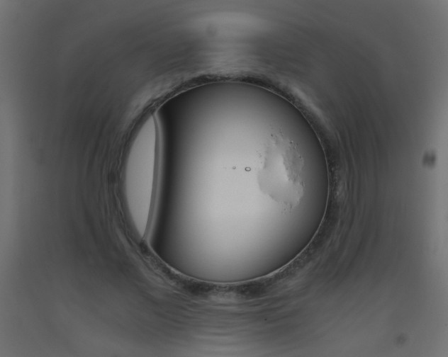 X0000093440685200710120946