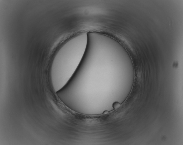 X0000093440686200710120946