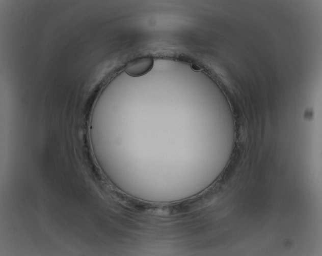 X0000093440687200710120946