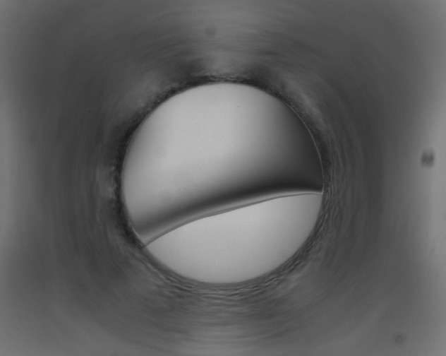 X0000093440689200710120946
