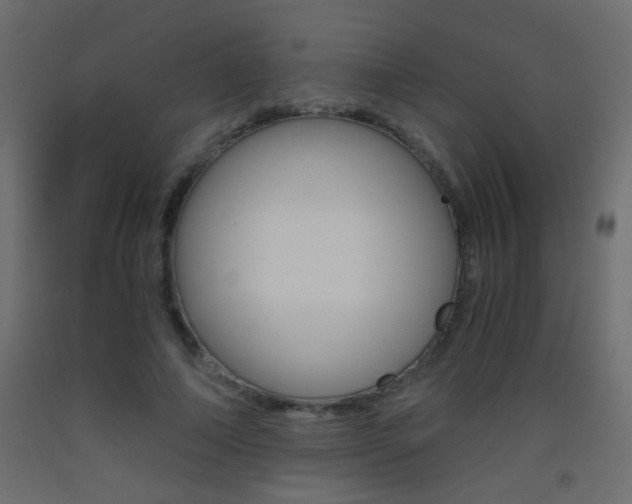 X0000093440690200710120946