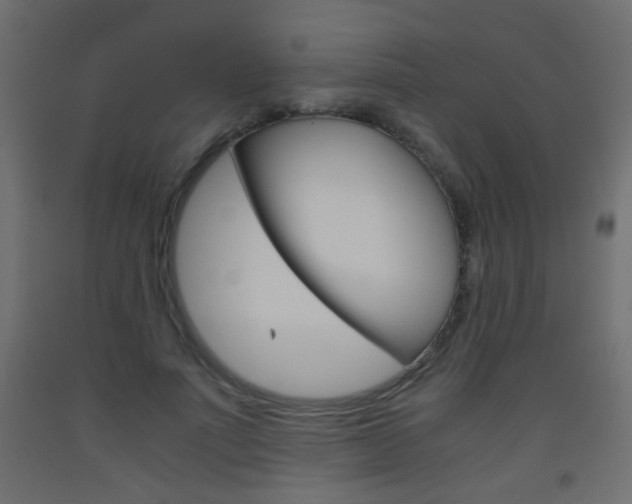 X0000093440691200710120946