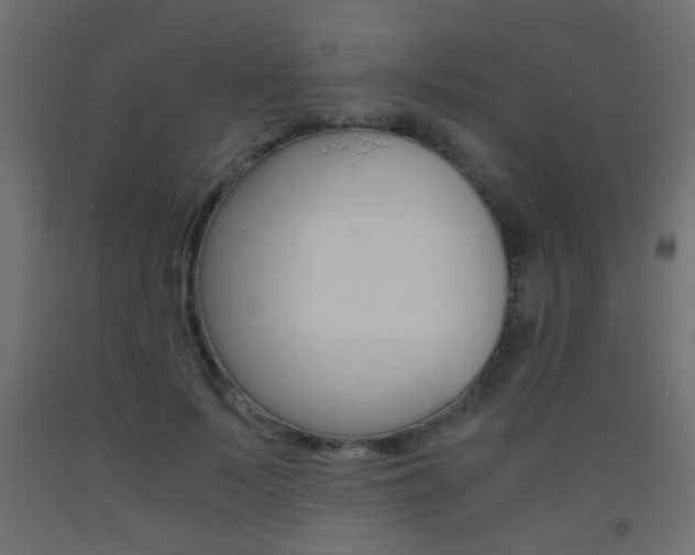 X0000093440695200710120946