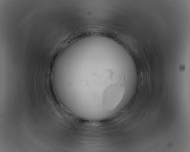 X0000093440698200710120946