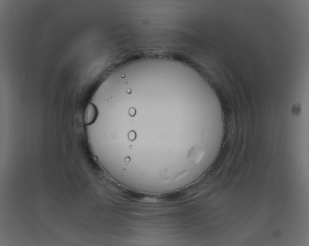X0000093440699200710120945