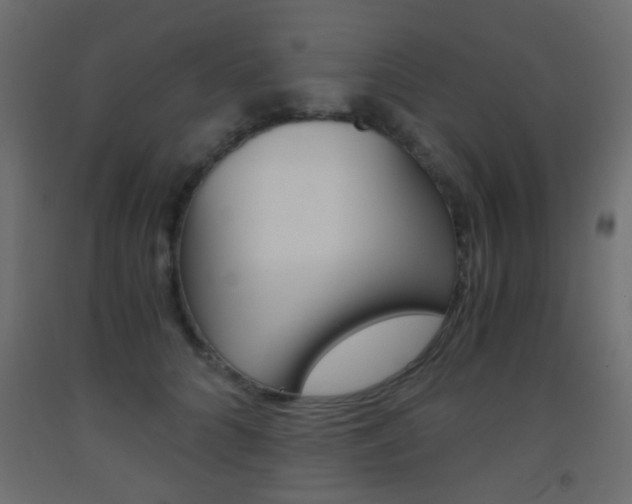 X0000093440704200710120945