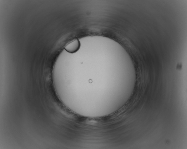 X0000093440706200710120945