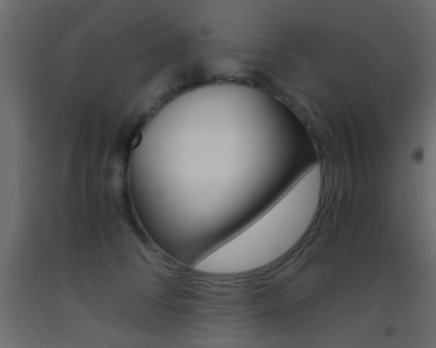 X0000093440708200710120945