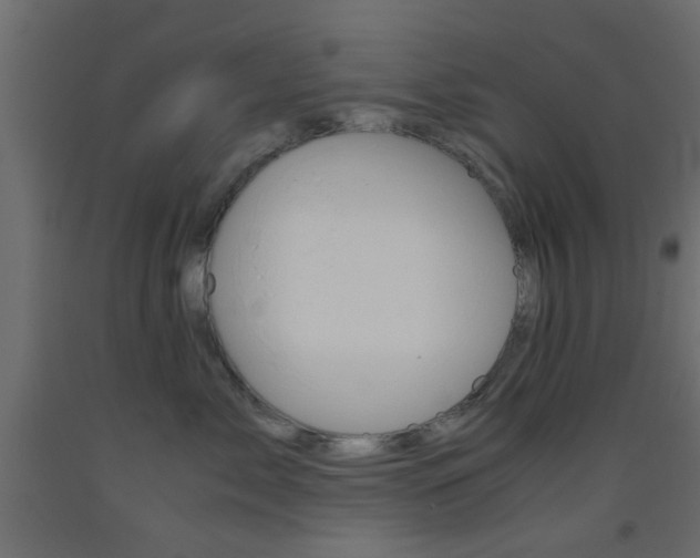 X0000093440717200710120945