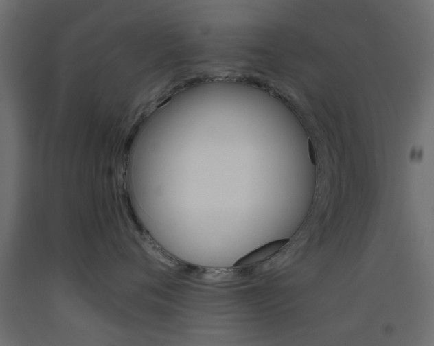 X0000093440720200710120945