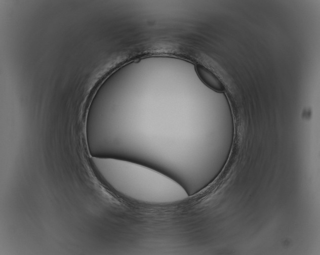 X0000093440721200710120945