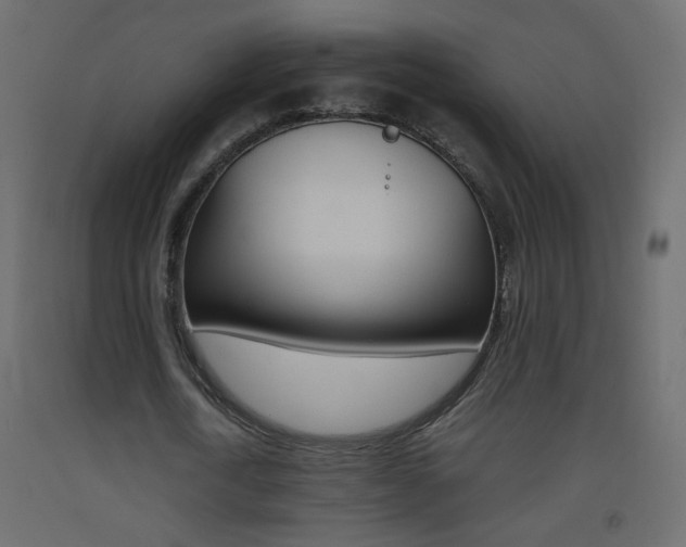 X0000093440722200710120945