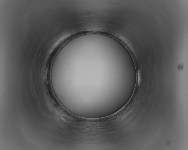 X0000093440723200710120945