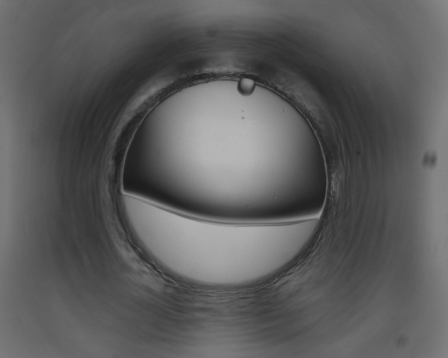 X0000093440724200710120945
