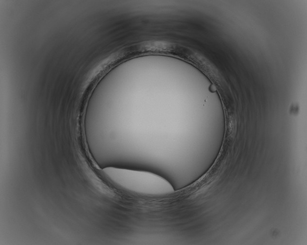 X0000093440725200710120945