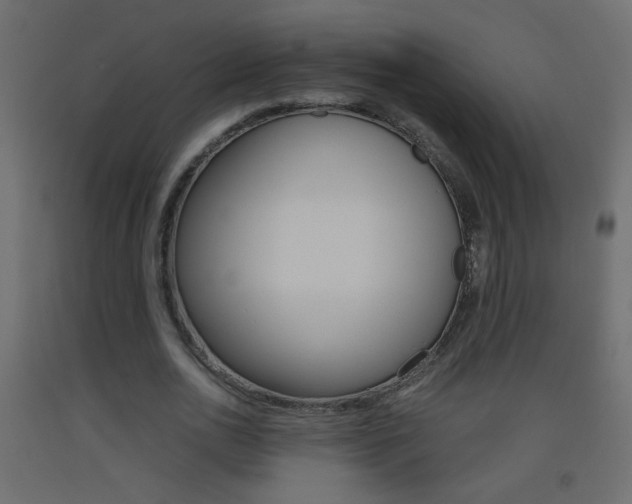 X0000093440726200710120945