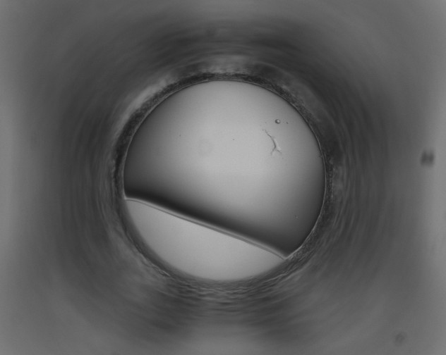 X0000093440727200710120945