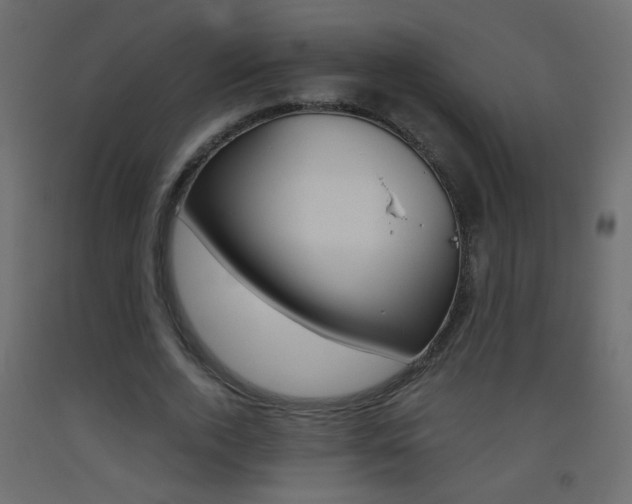 X0000093440728200710120945