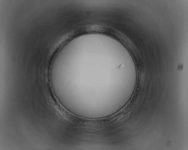 X0000093440729200710120945