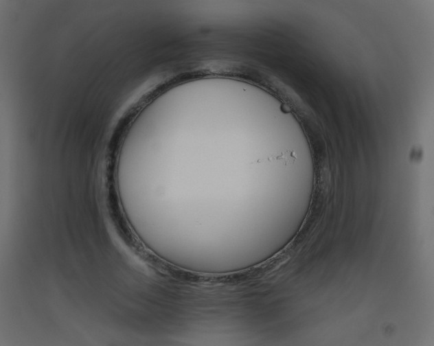 X0000093440730200710120945