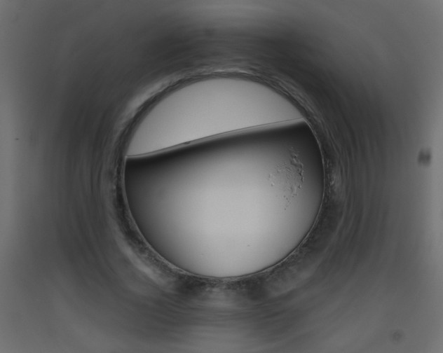 X0000093440732200710120945