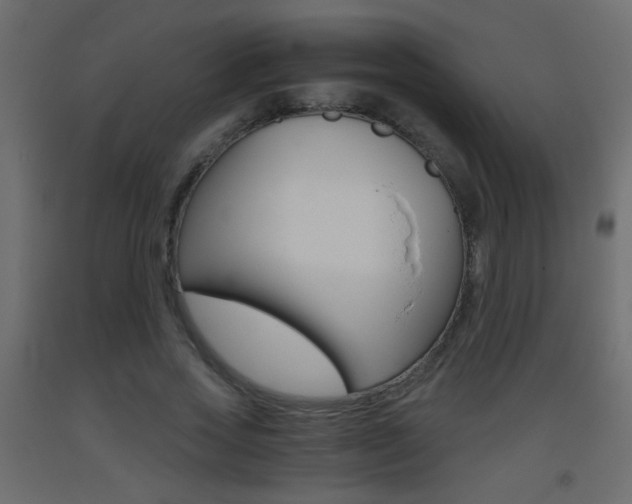 X0000093440733200710120945