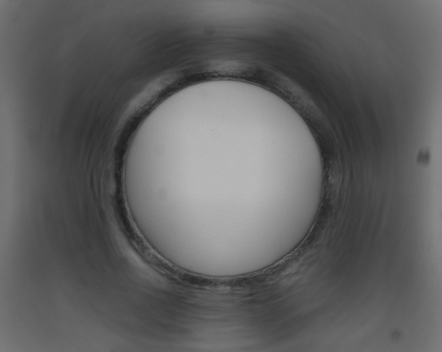 X0000093440734200710120945