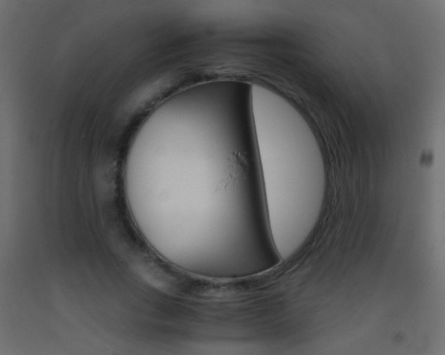 X0000093440735200710120945
