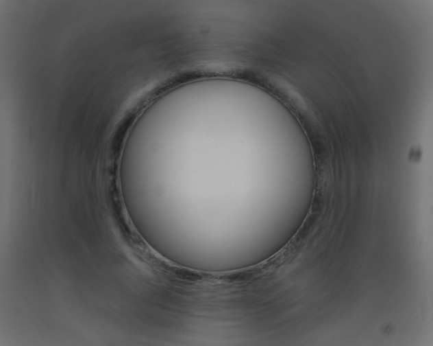X0000093440736200710120945