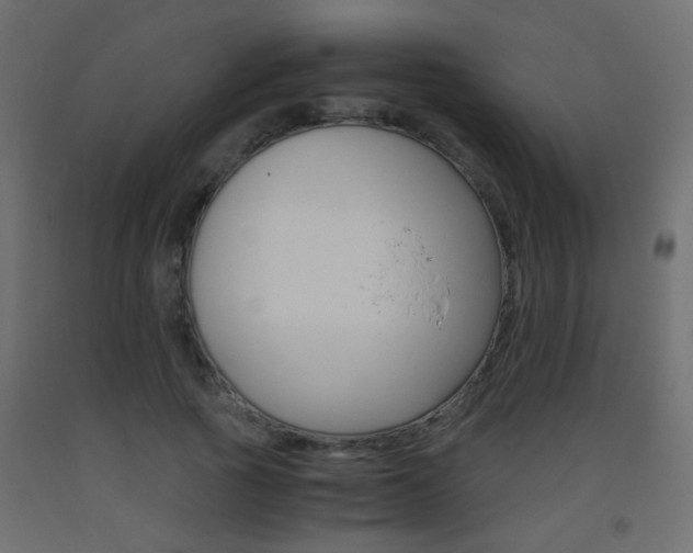 X0000093440737200710120945
