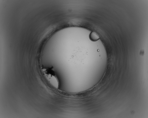 X0000093440738200710120945