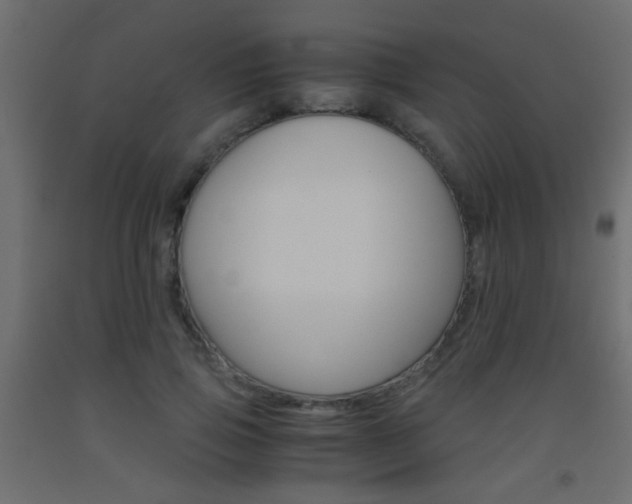 X0000093440741200710120945