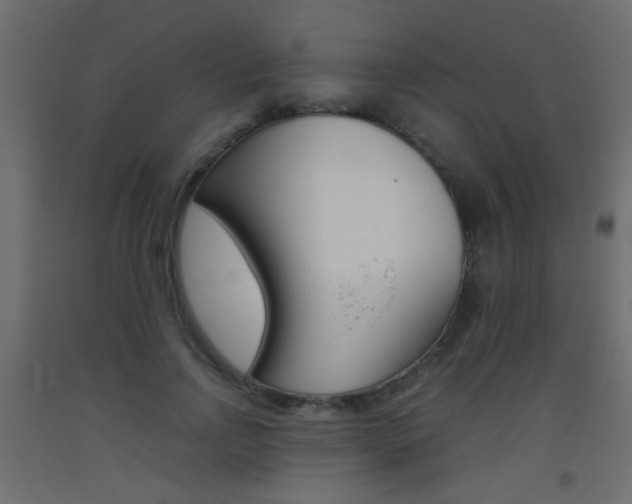 X0000093440742200710120945