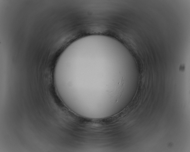 X0000093440743200710120945