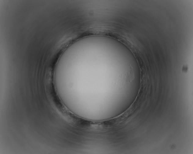 X0000093440744200710120945