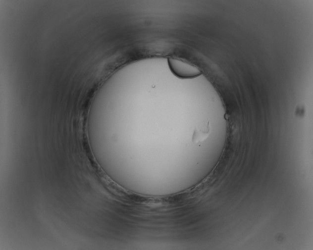 X0000093440745200710120945