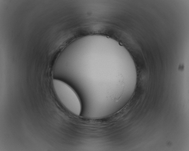 X0000093440746200710120945