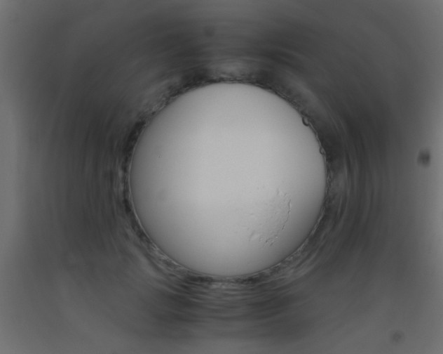 X0000093440749200710120945
