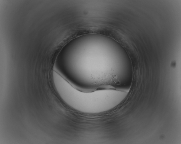 X0000093440750200710120945