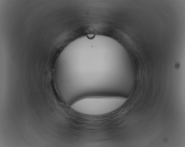 X0000093440751200710120945