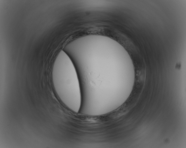 X0000093440753200710120945