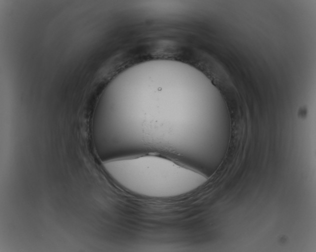 X0000093440755200710120945