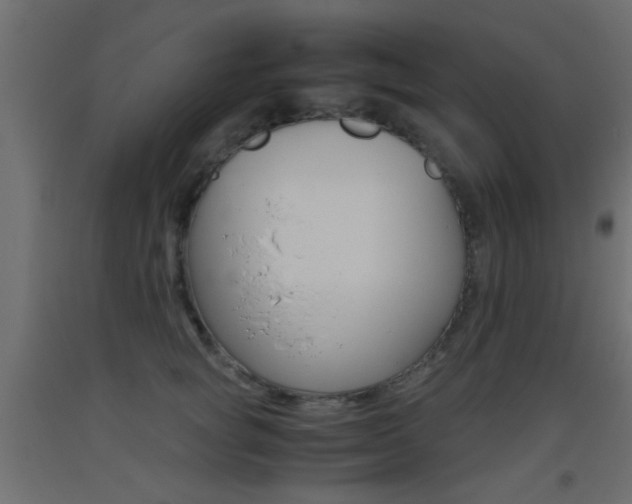 X0000093440757200710120945