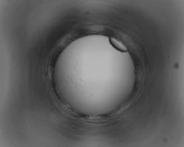 X0000093440758200710120945