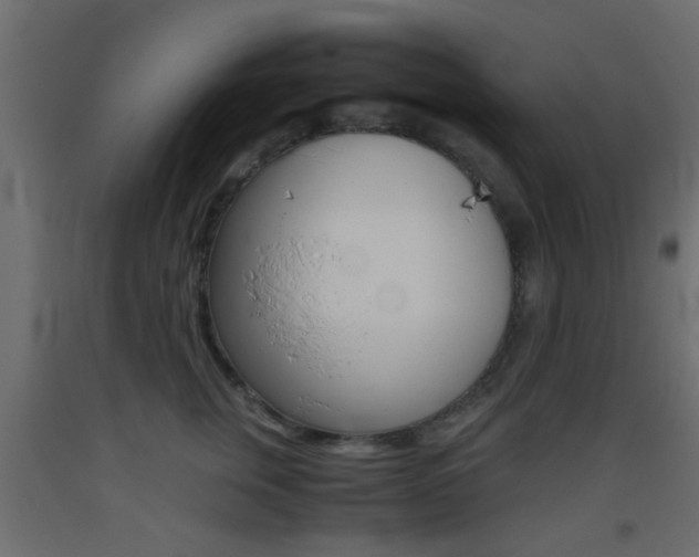 X0000093440759200710120945