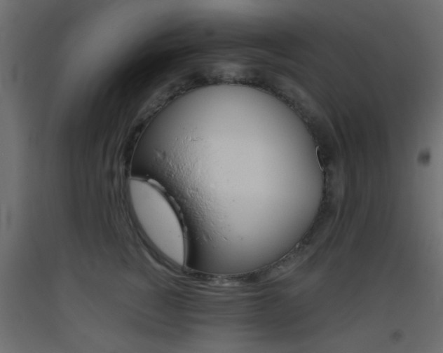 X0000093440760200710120945